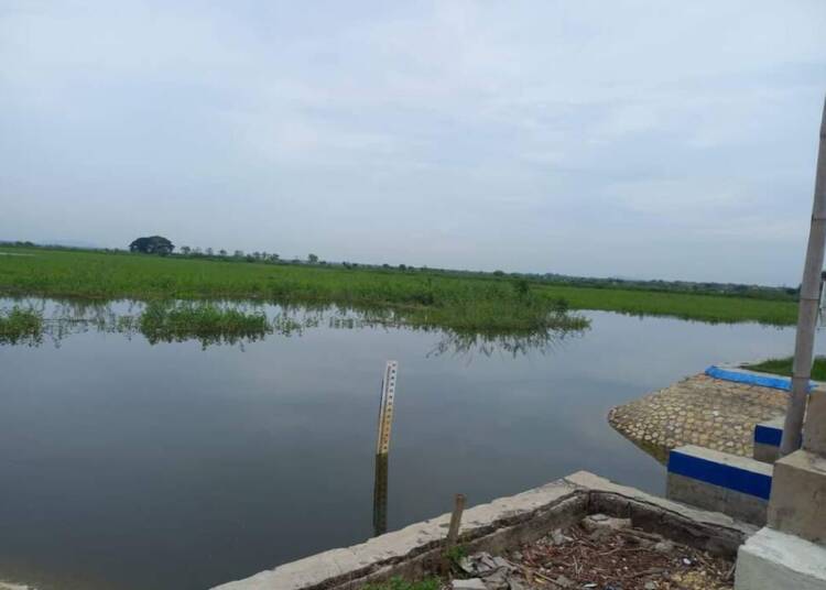 Tambak Liar di Rawa Sekaran Lamongan Menjamur, Petani Resah