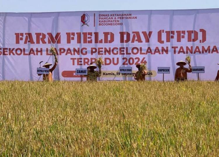 DKPP Bojonegoro Gelar Sekolah Lapang untuk Petani