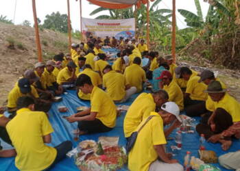 Panen Raya, Gapoktan Tegalsari – Tuban Tasyakuran