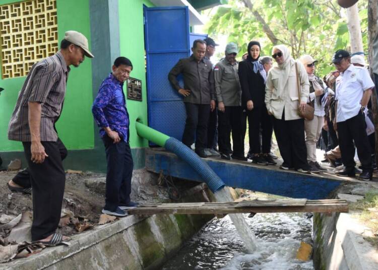 Pertanian di Sidoarjo Curi Perhatian Komisi IV DPR RI