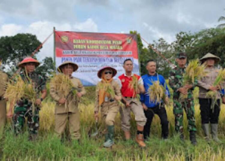 Panen Padi Terapan Bela Negara di Wonogiri
