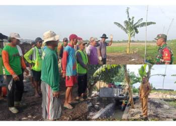 HIPPA Tirto Makmur Gembong Bangun Saluran Tersier Kali Suruhan