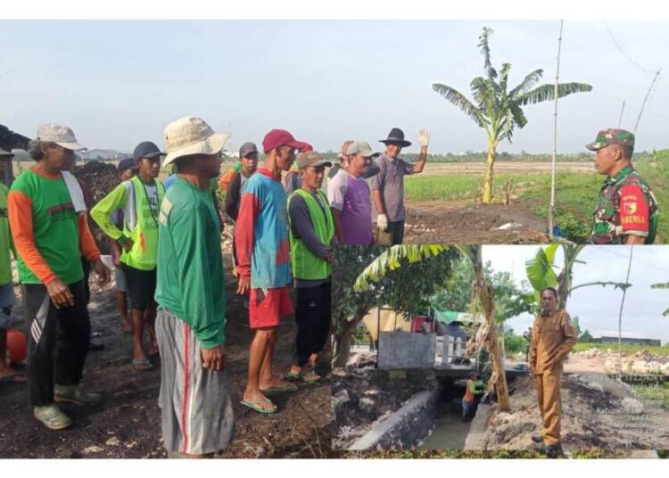 HIPPA Tirto Makmur Gembong Bangun Saluran Tersier Kali Suruhan