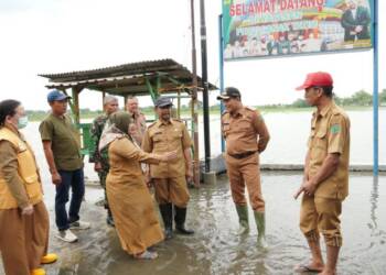 Plt Bupati Sidoarjo Subandi Sidak Lokasi Banjir