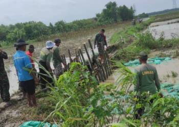 Babinsa Koramil Baureno Bojonegoro Bantu Perbaiki Tanggul Jebol di Kali Simo Sumuragung
