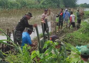 Pemdes Sumuragung Bersama Polsek dan Koramil Baureno Perbaiki Tanggul Jebol