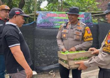 Kapolsek Balongbendo Serahkan 400 Bibit Tanaman untuk Pekarangan Bergizi Desa Kemangsen
