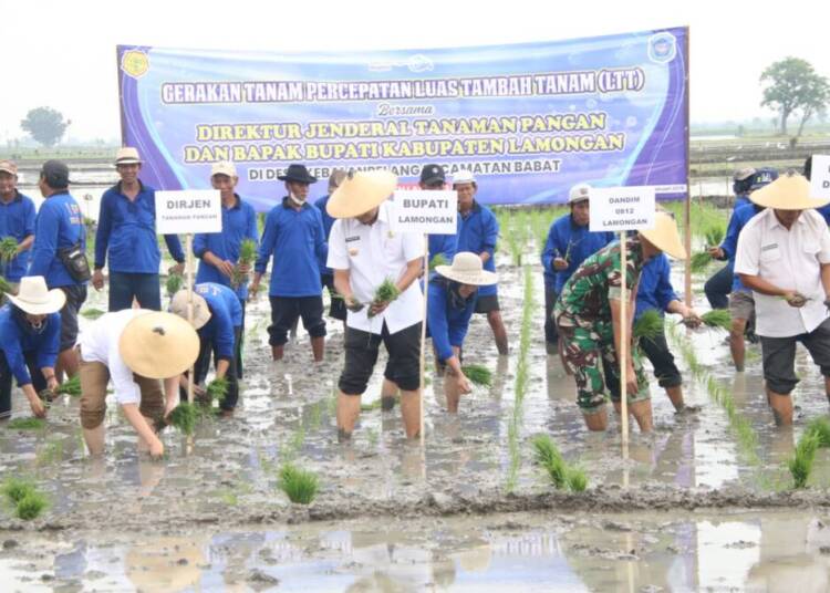 Dandim 0812 dan Bupati Lamongan Dampingi Kunker Dirjen Tanaman Pangan Kementan RI di Kebalanpelang