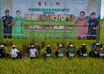 Danrem 082/CPYJ Panen Raya Padi Bareng Poktan Mulyorejo