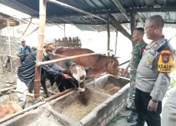 Kapolsek Kanor Sosialisasi Pencegahan PMK