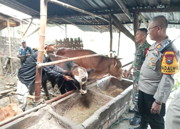 Kapolsek Kanor Sosialisasi Pencegahan PMK