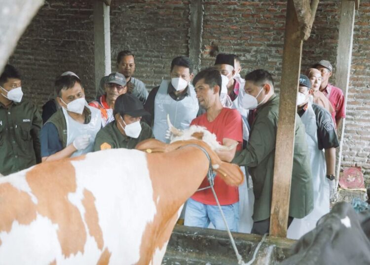 Cegah PMK, Petugas di Sidoarjo Pantau Kesehatan Hewan Ternak