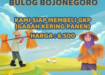 Perum Bulog Bojonegoro Siap Beli Gabah Kering Petani