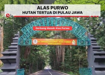Alas Purwo, Cagar Alam Taman Nasional dan Hutan Tertua di Jawa