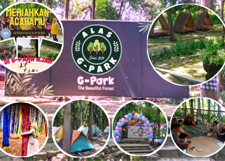 Liburan Ekonomis di Alas G-Park, Nikmati Keindahan Alam Hutan Lamongan nan Eksotik.