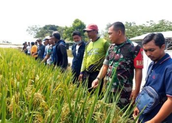 Kampung Pandu Kodim Lamongan jadi Daya Tarik Kelompok Tani