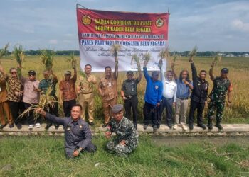 FKBN Panen Padi Terapan Organik Bela Negara di Sukoharjo