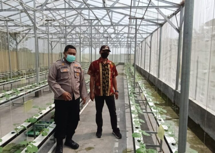 Polsek Tarik dan Warga Gempolklutuk Kembangkan Melon Hidroponik