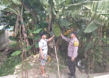 Kapolsek Sukodono Dampingi Warga Kelola Lahan P2B di Desa Pekarungan