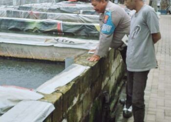 Dukung Ketahanan Pangan, Bhabinkamtibmas Desa Betro Kunjungi Pembudidaya Ikan Lele