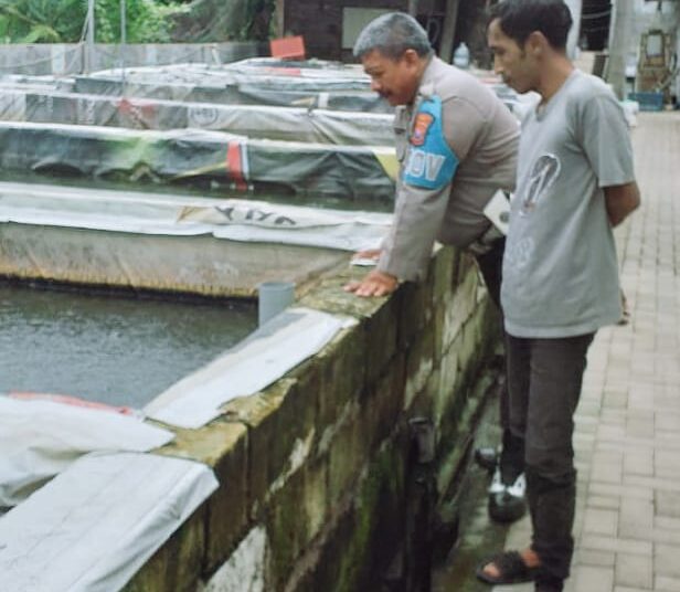 Dukung Ketahanan Pangan, Bhabinkamtibmas Desa Betro Kunjungi Pembudidaya Ikan Lele