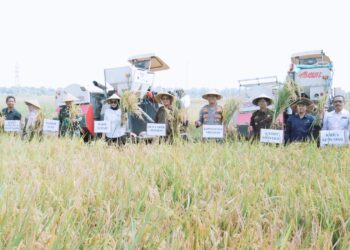 Wabup dan Forkopimda Sidoarjo Ikuti Panen Raya Padi Serentak
