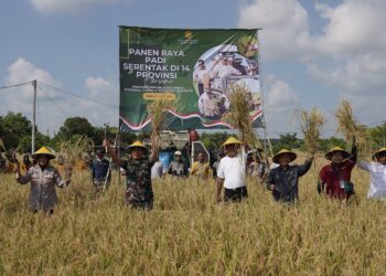 Wabup dan Forkopimda Tuban Panen Raya di Merakurak