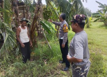 Tingkatkan Swasembada Pangan, Warga Sidokerto Didorong Tanam Pohon Pisang