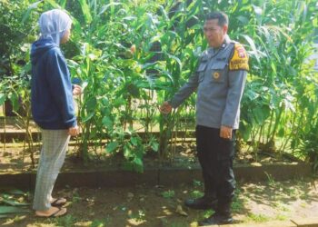 Dukung Hanpangan, Polsek Sedati Bersilaturahmi dengan Pengelola Sayur