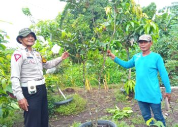 Polsek Tanggulangin Tinjau Ketahanan Pangan di Desa Kalidawir