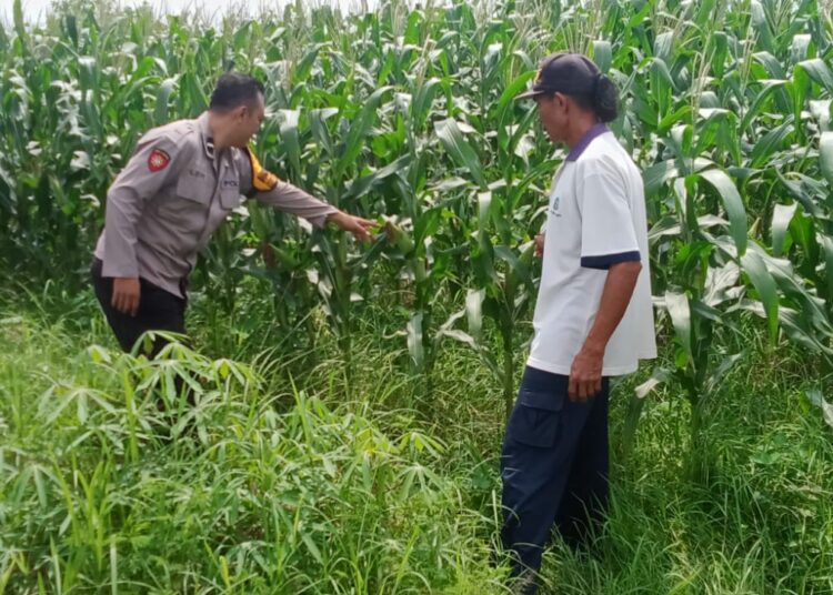 Kapolsek Tarik Gencarkan Program Sambang Desa Dukung Ketahanan Pangan Nasional