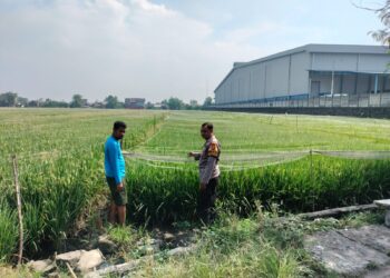 Dukung Program Ketahanan Pangan Nasional, Bhabinkamtibmas Desa Juwetkenongo Tinjau Lahan Pertanian 