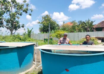 Polsek Sukodono Sosialisasikan Program Asta Cita Ketahanan Pangan Ke Pembudidaya Ikan Lele Desa Wilayut