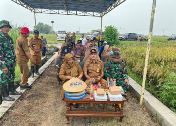 Forkopimka Wonoayu Panen Raya Padi dan Gelar Diskusi Ketahanan Pangan dengan Petani