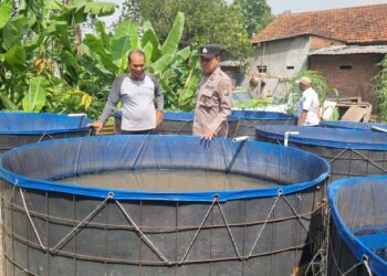 Bhabinkamtibmas Kedungturi Tinjau Pemanfaatan Lahan Ketahanan Pangan Polresta Sidoarjo untuk Pembesaran Lele
