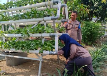 Bhabinkamtibmas dan Ketua Bumdes Apresiasi Program Ketahanan Pangan Berbasis Hidroponik di Perumahan MCA Sumorame