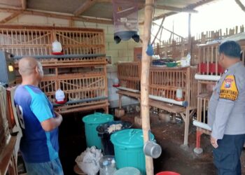 Polsek Tulangan Optimalkan Ketahanan Pangan Bergizi melalui P2B di Kepunten