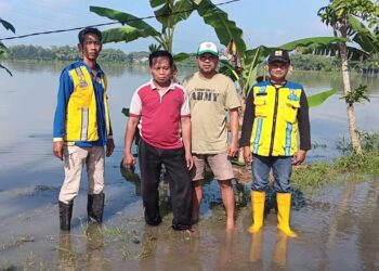Hujan Deras, Sebagian Jalan dan Area Persawahan Desa Mejuwet Terendam