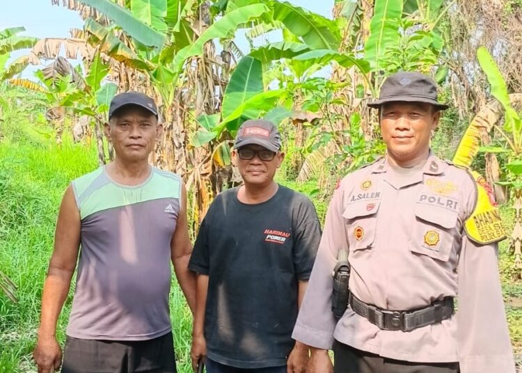 Dukung Ketahanan Pangan, Polsek Balongbendo Sambangi Pekarangan Produktif di Desa Seketi