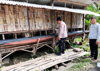 Polsek Krembung Dampingi Peternak Kambing di Desa Rejeni, Dukung Ketahanan Pangan Bergizi P2B