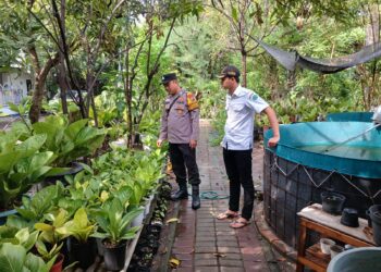 Dukung Asta Cita, Bhabinkamtibmas Rangkah Kidul Polsek Kota Cek Lahan Warga Optimalkan Han Pangan