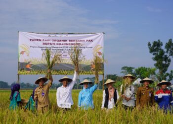 Panen Raya Padi Organik di Bojonegoro Buktikan Tanah Subur dan Petani Sejahtera