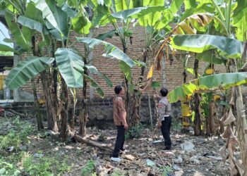 Tinjau Lahan P2B Tanaman Pisang, Bhabinkamtibmas Dorong Warga Dukung Asta Cita Presiden