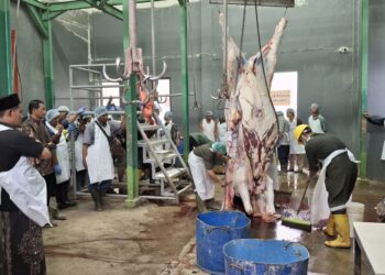 Pemkab Tuban Latih Juru Sembelih Hewan Qurban