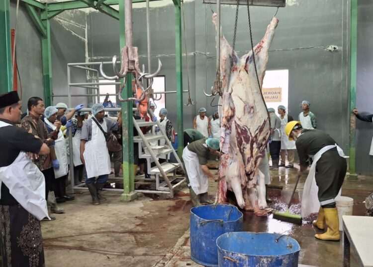 Pemkab Tuban Latih Juru Sembelih Hewan Qurban