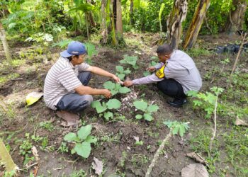 Bhabinkamtibmas Desa Grogol Cek Lahan Pertanian Ketahanan Pangan