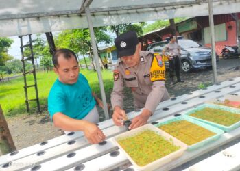 Polsek Taman Tinjau Perkembangan Ketahanan Pangan Sayur Hidroponik