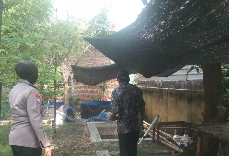 Dukung Ketahanan Pangan, Kanit Binmas Polsek Waru Tinjau Budidaya Lele di Lahan Fasum Desa Wedoro