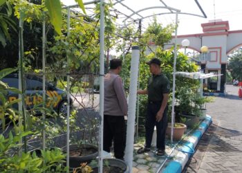 Bhabinkamtibmas Sambangi Warga Penggerak Ketahanan Pangan di Wilayah Kecamatan Sedati