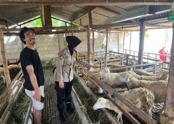 Polsek Wonoayu Pantau Perkembangan Lahan Ketahanan Pangan di Desa Mojorangagung